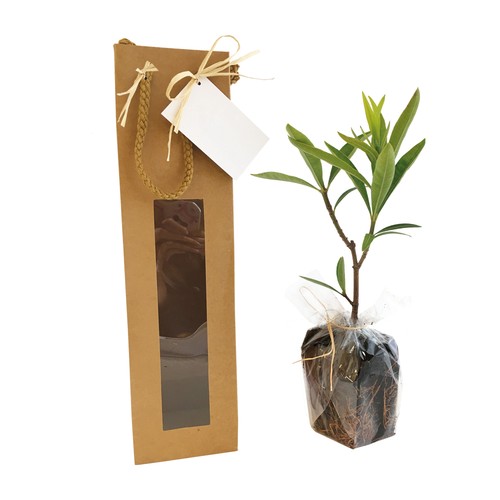 Plant d'arbre sac kraft - Prestiges