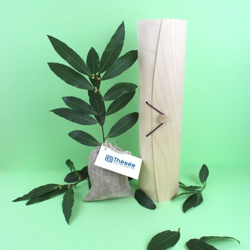 Plant d'arbre tube bois - Prestiges