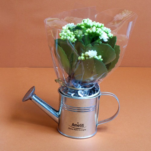Plante fleurie pot zinc arrosoir - 1
