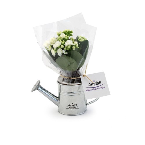 Plante fleurie pot zinc arrosoir