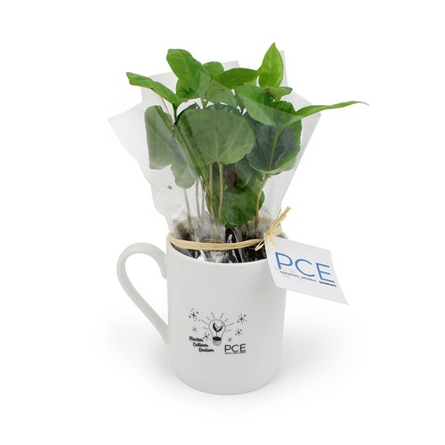 Mug caféier - 3