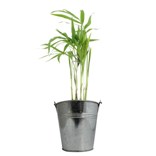 Plante pot zinc Ø13,5 cm