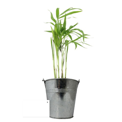 Plante pot zinc Ø13,5 cm