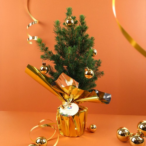 Sapin de Noël
