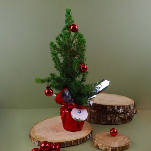 Sapin de Noël