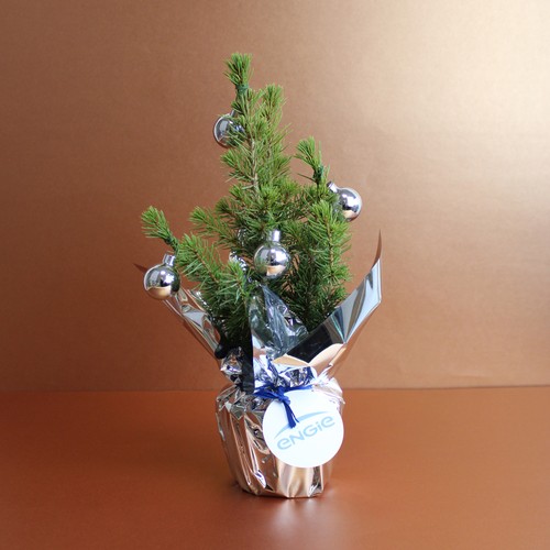 Sapin de Noël