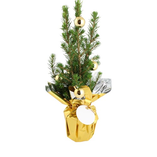 Sapin de Noël