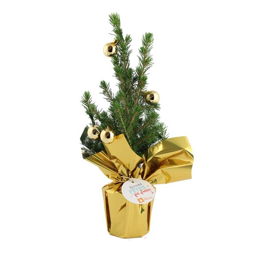 Sapin de Noël