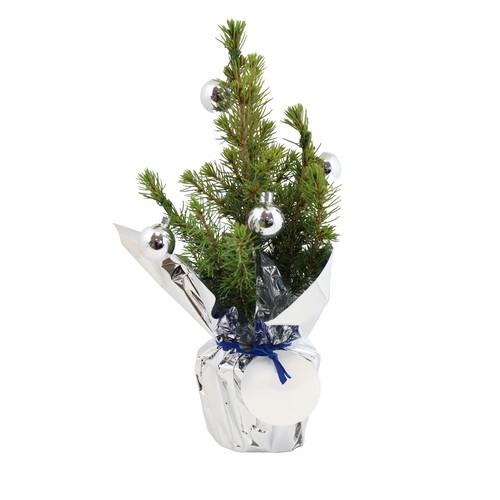 Sapin de Noël