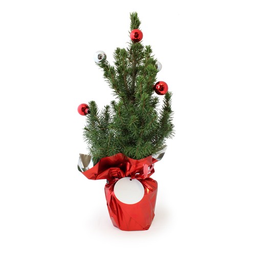 Sapin de Noël