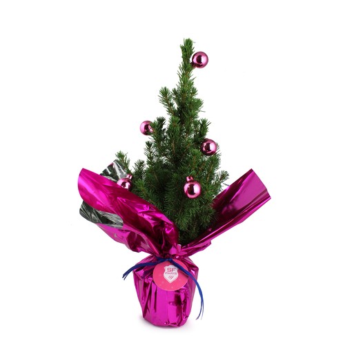 Sapin de Noël