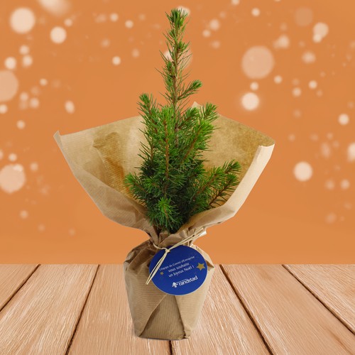 Sapin de Noël