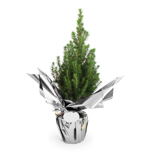 Sapin de Noël