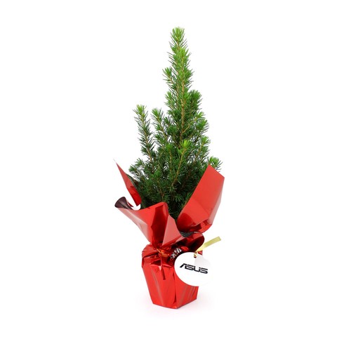 Sapin de Noël