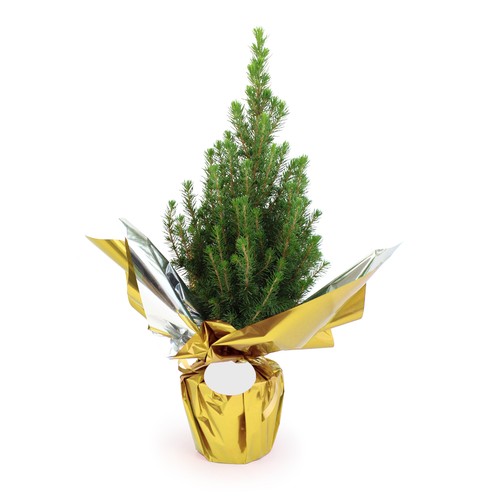 Sapin de Noël