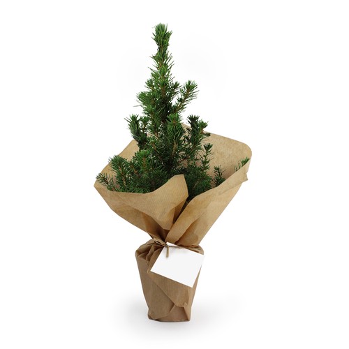 Sapin de Noël