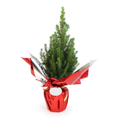 Sapin de Noël