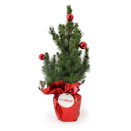 Sapin de Noël avec déco - 2