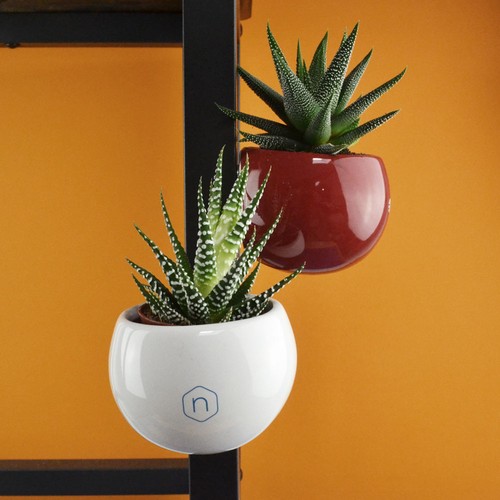 Plante pot céramique aimanté - 1