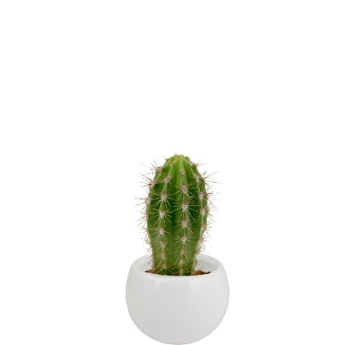 Plante pot céramique aimanté