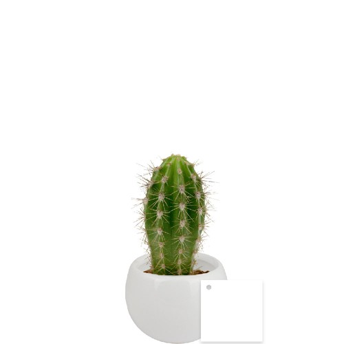 Plante pot céramique aimanté