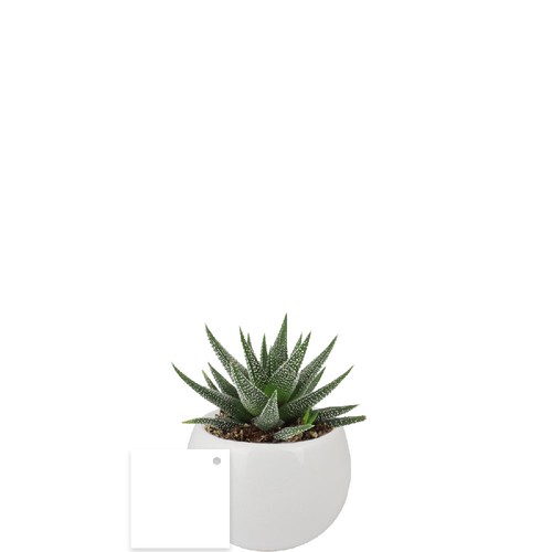 Plante pot céramique aimanté