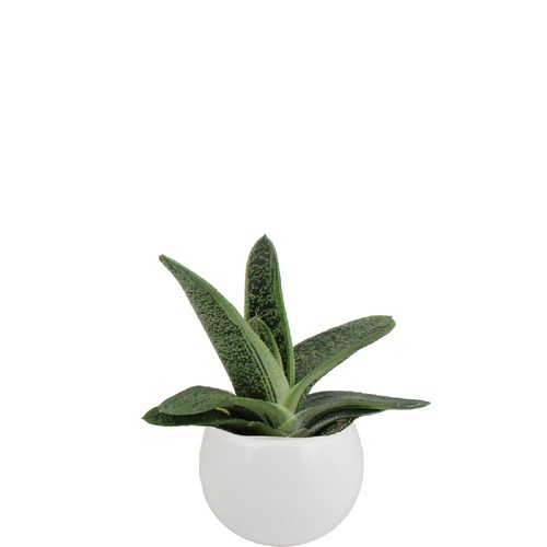 Plante pot céramique aimanté