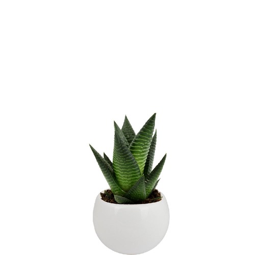 Plante pot céramique aimanté