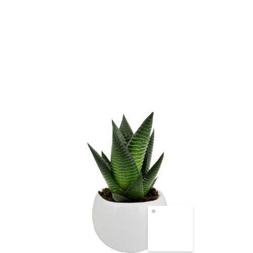 Plante pot céramique aimanté