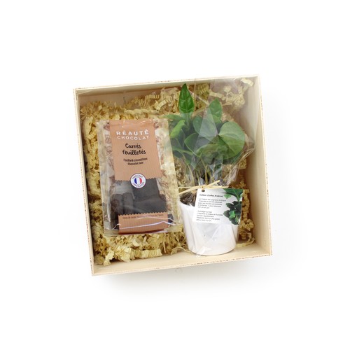 Coffret Caféier