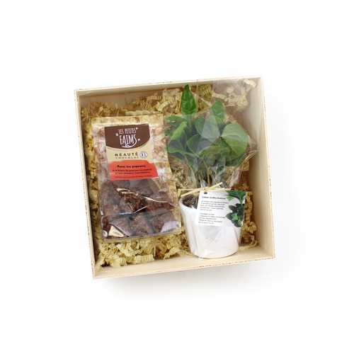 Coffret Caféier
