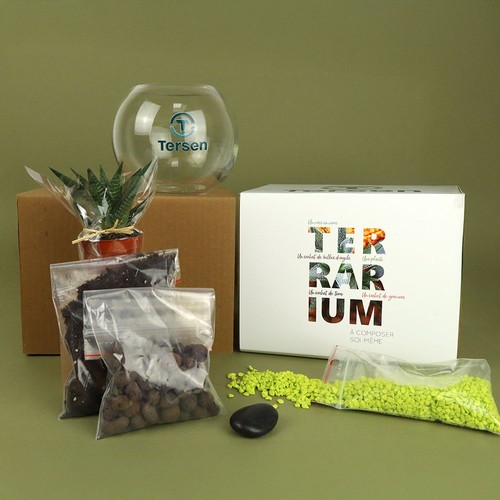 Terrarium DIY Petit modèle - 2