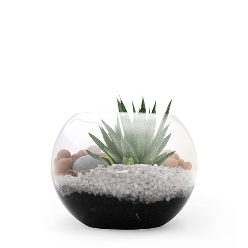 Terrarium DIY Petit modèle