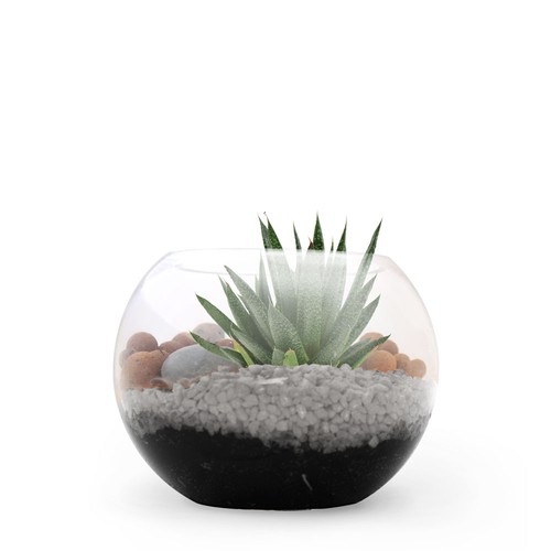 Terrarium DIY Petit modèle