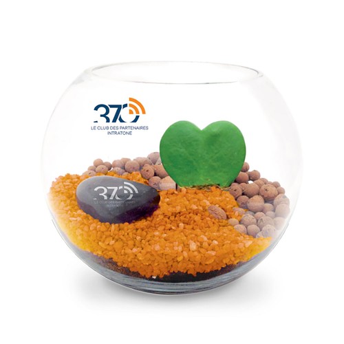 Terrarium DIY Grand modèle - 2