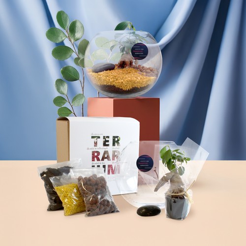 Terrarium DIY Grand modèle - 1