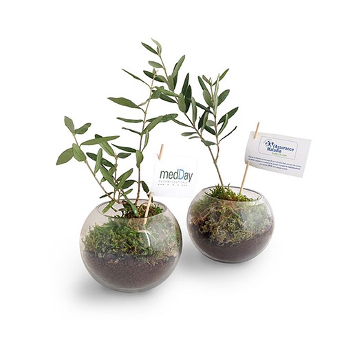 Globe arbre