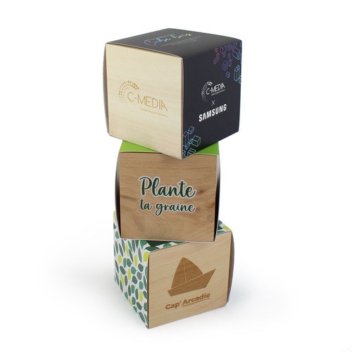 Cube bois Graines