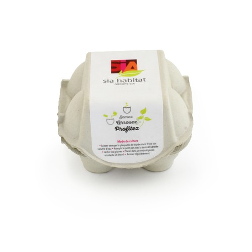 Boîte de 4 oeufs