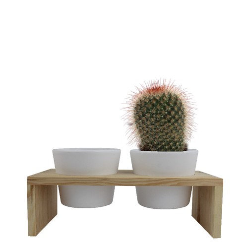 Plateau bois 2 pots céramique