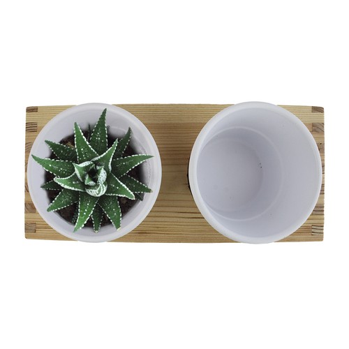 Plateau bois 2 pots céramique