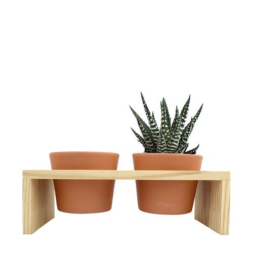 Plateau bois 2 pots céramique