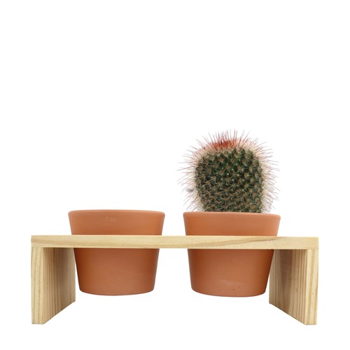 Plateau bois 2 pots céramique