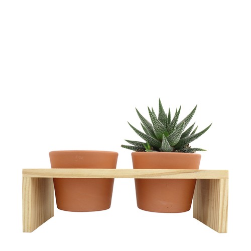 Plateau bois 2 pots céramique