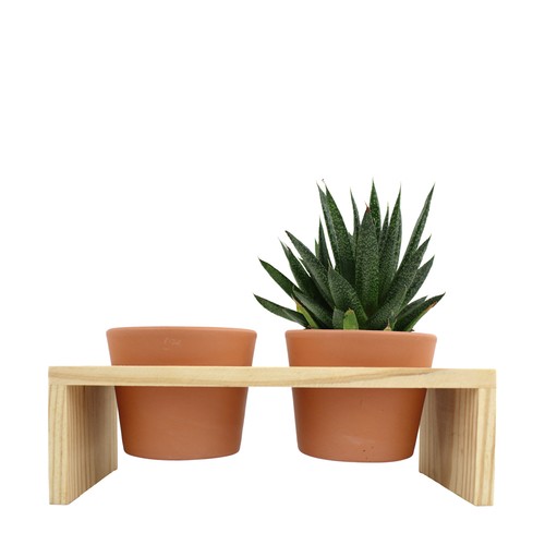 Plateau bois 2 pots céramique