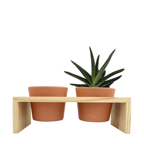 Plateau bois 2 pots céramique