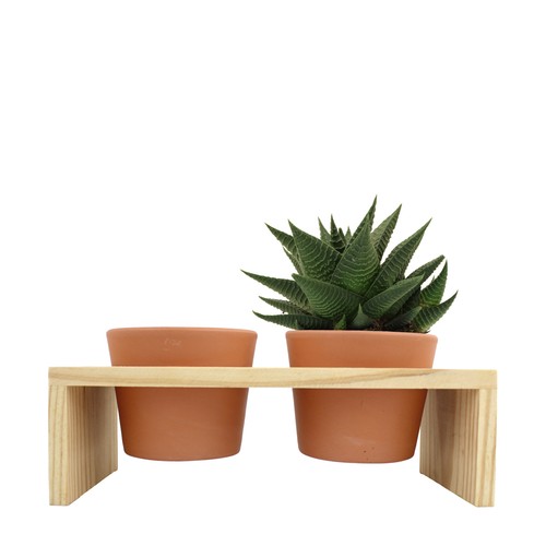 Plateau bois 2 pots céramique