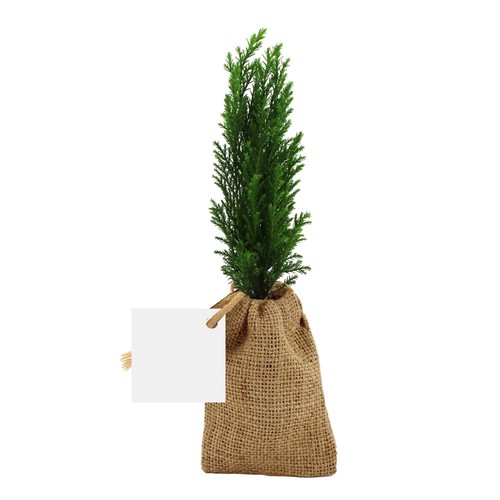 Mini plant d'arbre en pochon