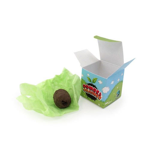 Bombe à graines en boîte - 2