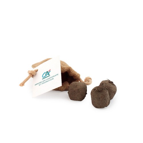 Pochon 3 bombes à graines - 2